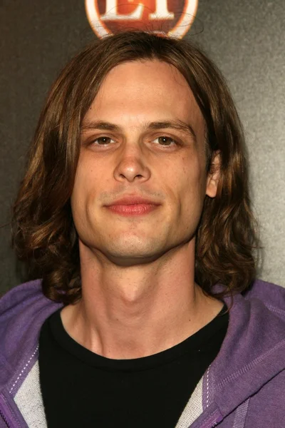Matthew Gray Gubler at TV Guide Magazine's Sexiest Stars Party. Sunset Tower Hotel, Los Angeles, CA. 03-24-09 — Stock fotografie