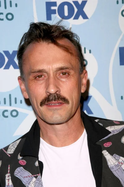 Robert Knepper — Stok fotoğraf