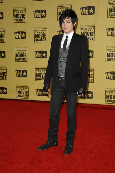 Adam Lambert no 15th Annual Critics Choice Awards, Hollywood Palladium, Hollywood, CA. 01-15-10 — Fotografia de Stock