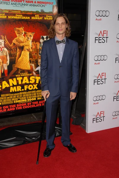 Matthew Gray Gubler at the Los Angeles Screening of 'Fantastic Mr. Fox' for the opening night of AFI Fest 2009. Grauman's Chinese Theatre, Hollywood, CA. 10-30-09 — Stock fotografie