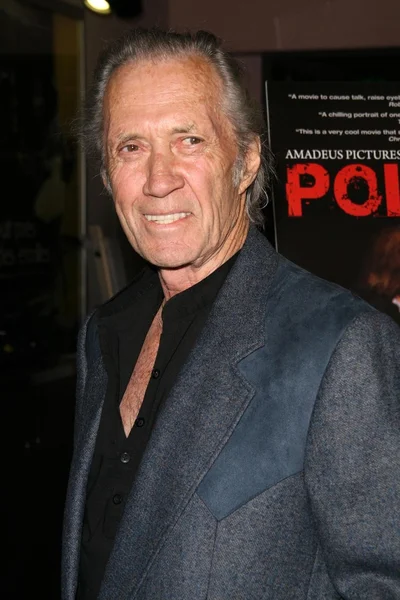 David Carradine na Exibição de Caridade de 'Polanski não autorizado' para beneficiar a Liga de Defesa da Criança. Laemmle Sunset 5 Cinemas, West Hollywood, CA. 02-10-09 — Fotografia de Stock