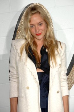 Chloe Sevigny