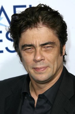 Benecio Del Toro