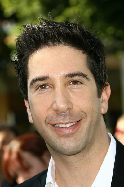 David Schwimmer — Stockfoto