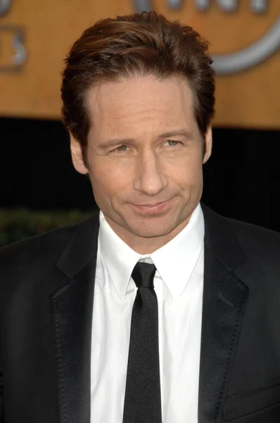 David Duchovny en la 15ª edición de los Premios Sindicatos de Actores. Shrine Auditorium, Los Ángeles, CA. 01-25-09 — Foto de Stock