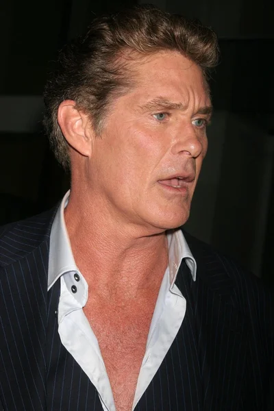 David Hasselhoff — Stock Photo, Image