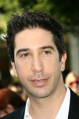 David Schwimmer