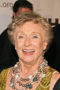 senaryo yazarı