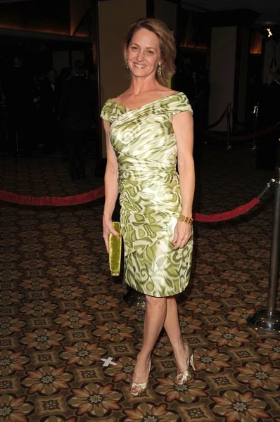 Melissa Leo på 61: a årliga Dga utmärkelser. Hyatt Regency Century Plaza, Los Angeles, Ca. 01-31-09 — Stockfoto