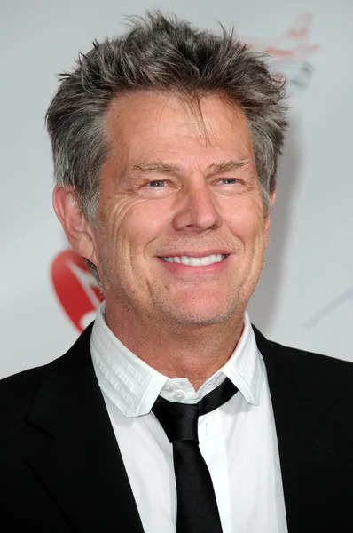 David Foster at the 2009 Musicares Person of the Year Gala. Los Angeles Convention Center, Los Angeles, CA. 02-06-09 — 图库照片