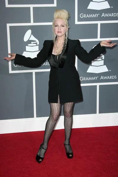 Cyndi lauper bei der 51. jährlichen grammy awards. Grundnahrungsmittel Zentrum, los angeles, ca. 08-02-09 — Stockfoto