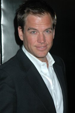 Michael Weatherly'nin