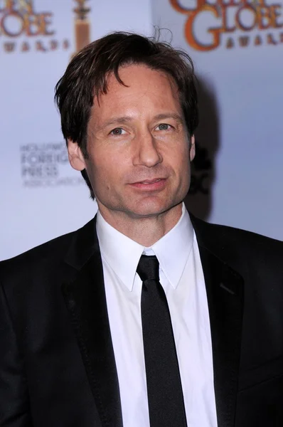 David Duchovny in the press room at the 66th Annual Golden Globe Awards. Beverly Hilton Hotel, Beverly Hills, CA. 01-11-09 — Stock fotografie