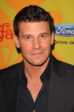 David Boreanaz