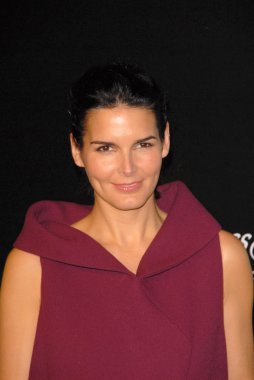Angie harmon