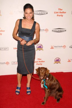 Lana parrilla ile köpek