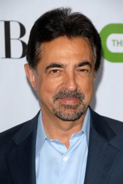 Joe Mantegna at the CBS, CW and Showtime All-Star Party. Huntington Library, Pasadena, CA. 08-03-09