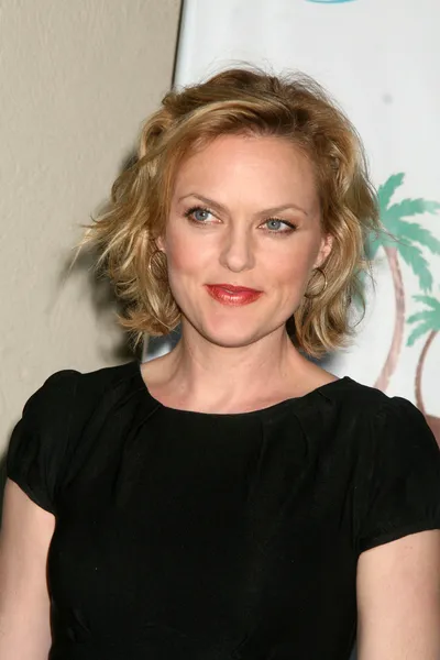 Elaine Hendrix — Stockfoto