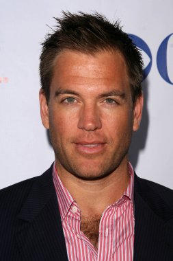 Michael Weatherly'nin