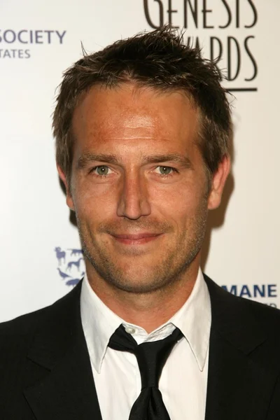 Michael Vartan — Stockfoto