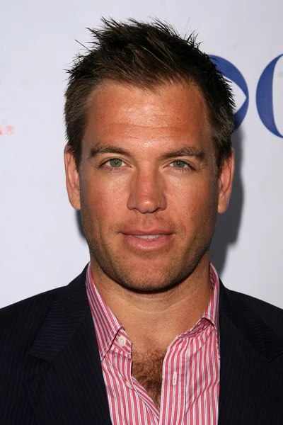 Michael Weatherly — Foto de Stock