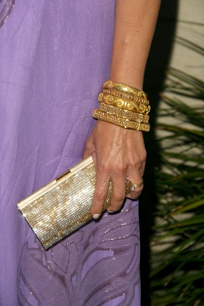 Nia Vardalos's purse — Stock Photo, Image