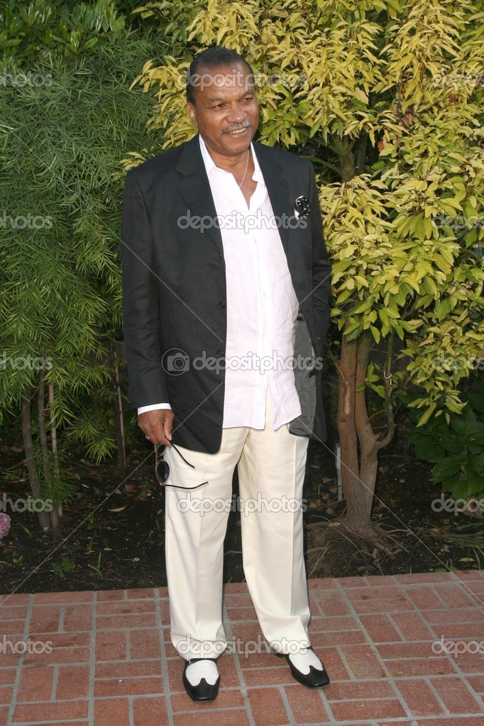 Billy Dee Williams – Stock Editorial Photo © s_bukley #15270433