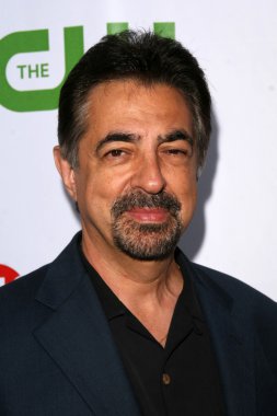Joe Mantegna