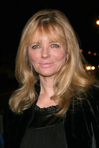 Cheryl Tiegs — Zdjęcie stockowe