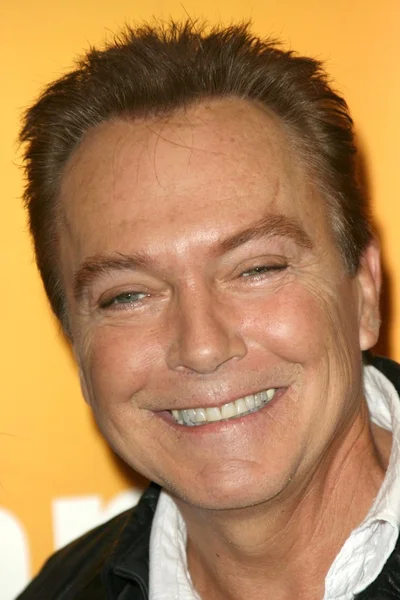 David Cassidy — Zdjęcie stockowe