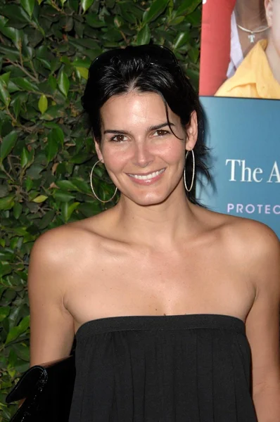 Angie harmon — Zdjęcie stockowe