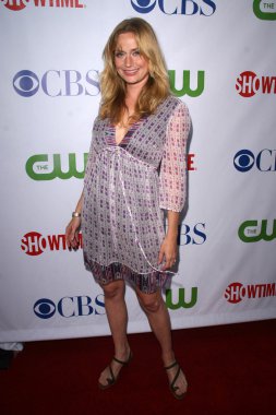 Kate norby cbs, cw ve showtime basın turu yıldız partisi, boulevard3, hollywood, ca. 07-18-08