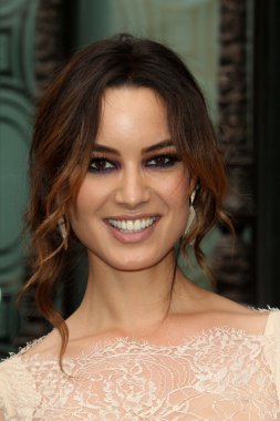 Berenice Marlohe