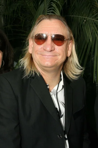 Joe Walsh. — Foto de Stock