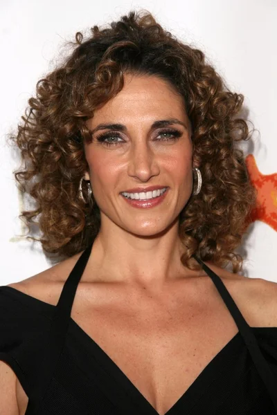 Melina Kanakaredes at the 8th Annual Comedy for A Cure, a Benefit to raise Funds and Awareness for the Tuberous Sclerosis Alliance. Boulevard3, Hollywood, CA. 04-05-09 — Stock Photo, Image