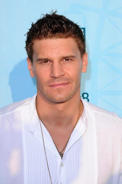 David Boreanaz — Fotografia de Stock