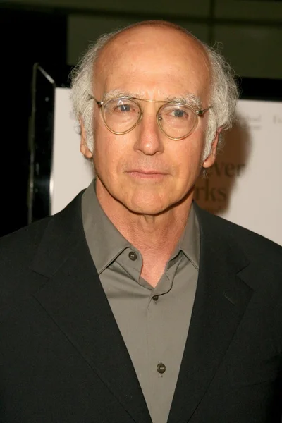 Larry David at the Los Angeles Premiere of 'Whatever Works'. Pacific Design Center, West Hollywood, CA. 06-08-09 — Stock Photo, Image