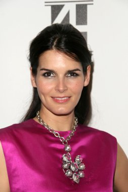 Angie harmon