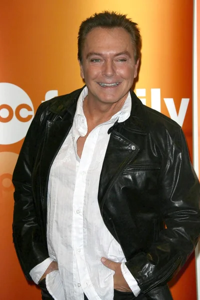 David Cassidy. — Foto de Stock