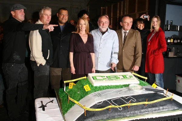 Cast of 'CSI Crime Scene Investigation' at the CSI Crime Scene Investigation 200th Episode Celebration. Universal Studios, Universal City, CA. 02-10-09 — 图库照片