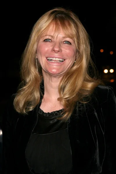 Cheryl Tiegs — Stockfoto