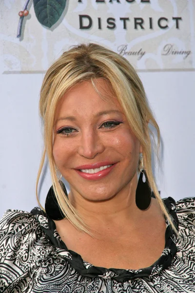 Taylor Dayne — Stock Photo, Image