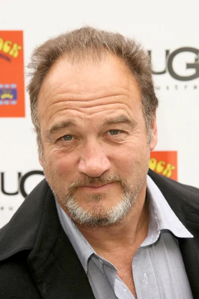 James Belushi — Stock Photo, Image