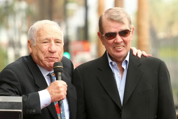 Mel Brooks y Alan Ladd Jr. en la ceremonia de entrega de premios en honor a Alan Ladd Jr. con una estrella en el Paseo de la Fama de Hollywood. Hollywood Blvd., Hollywood, CA. 09-28-07 —  Fotos de Stock