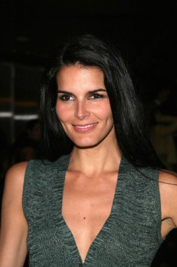 Angie harmon