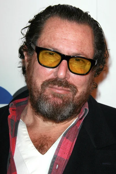 Julian Schnabel. — Foto Stock