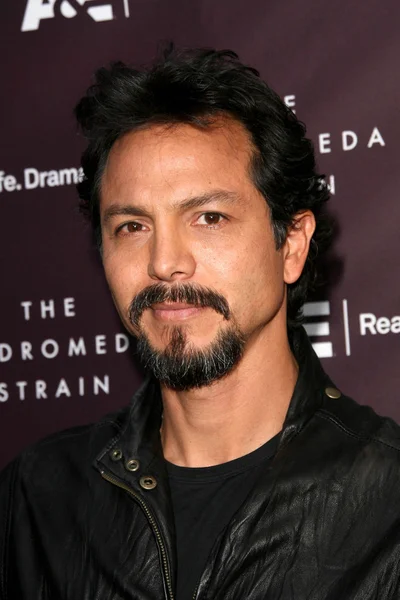 Benjamin Bratt — Stockfoto