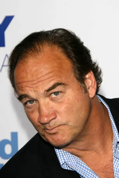 Jim Belushi at the Los Angeles Premiere of "Good Luck Chuck". Mann National Theater, Westwood, CA. 09-19-07 — Stock Photo, Image