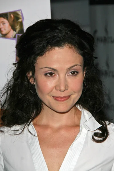 Reiko Aylesworth en el estreno de "The Jane Austen Book Club". Arclight Hollywood, Hollywood, CA. 09-20-07 — Foto de Stock