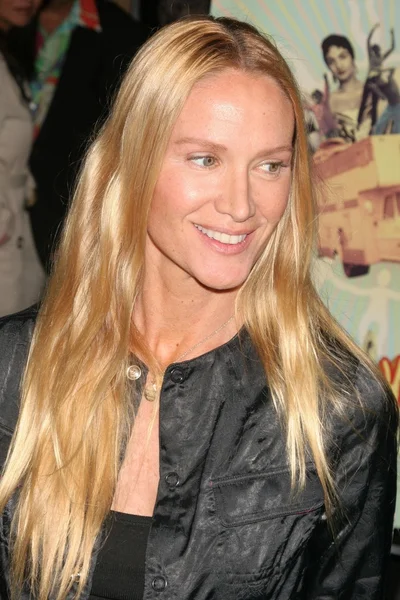 Kelly lynch bei der los angeles premiere von surfwise. Ägyptisches Theater, hollywood, ca. 08-05-06 — Stockfoto